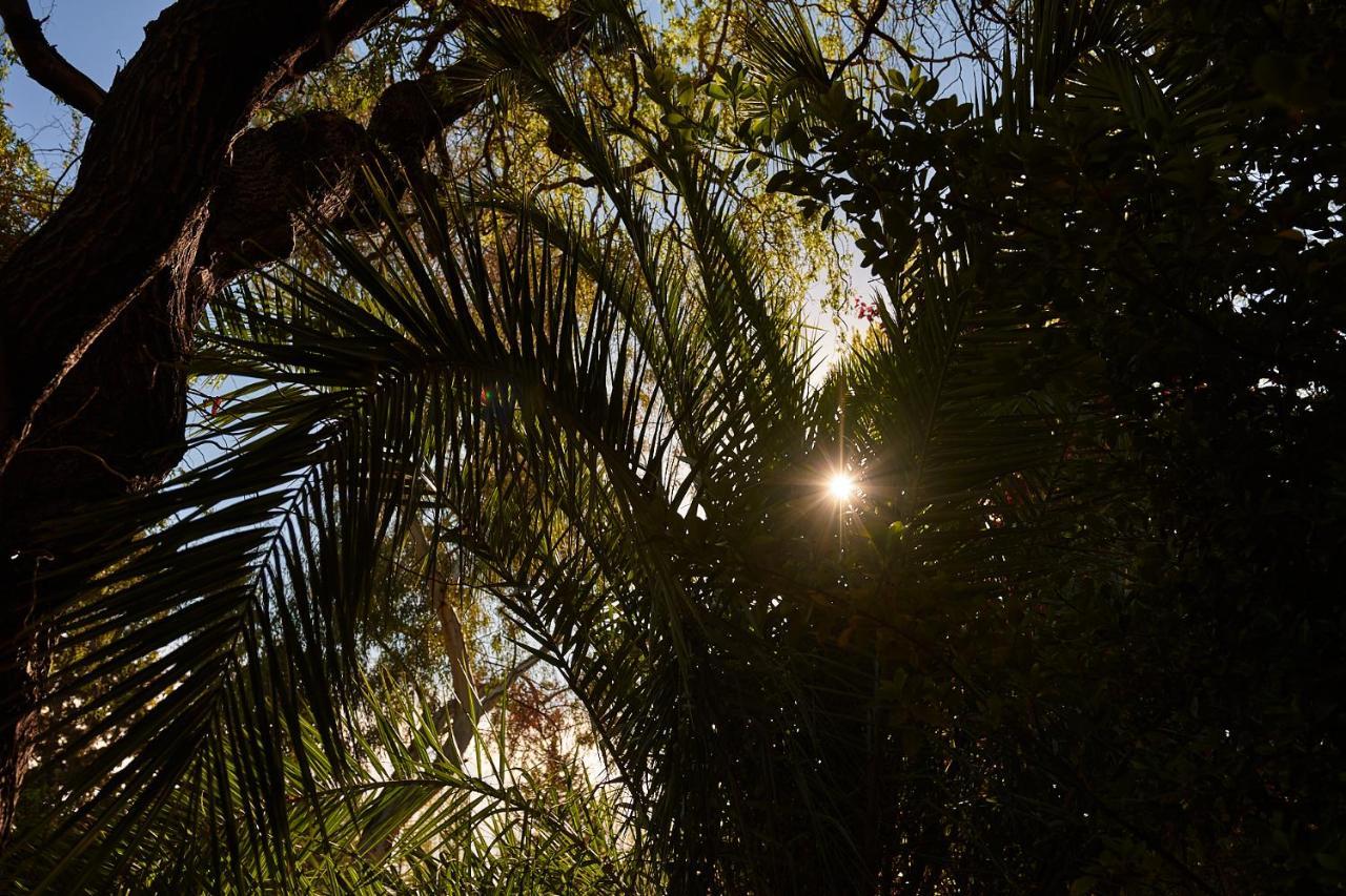 Alquiler Temp "Una Pausa" Barrio Privado En Vistalba Mendoza Exteriör bild