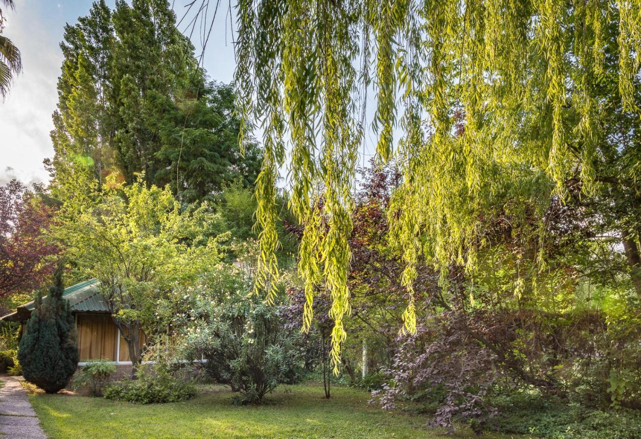Alquiler Temp "Una Pausa" Barrio Privado En Vistalba Mendoza Exteriör bild