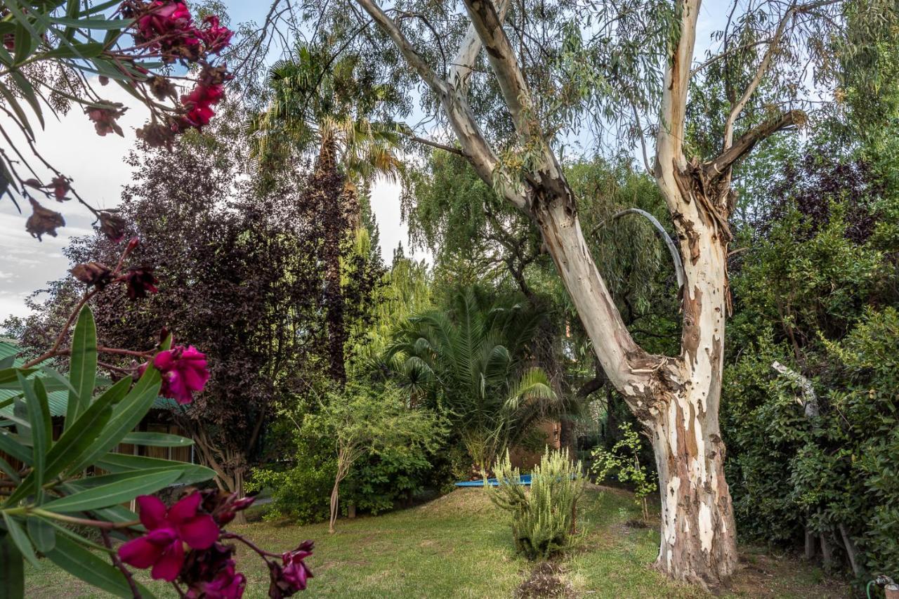 Alquiler Temp "Una Pausa" Barrio Privado En Vistalba Mendoza Exteriör bild