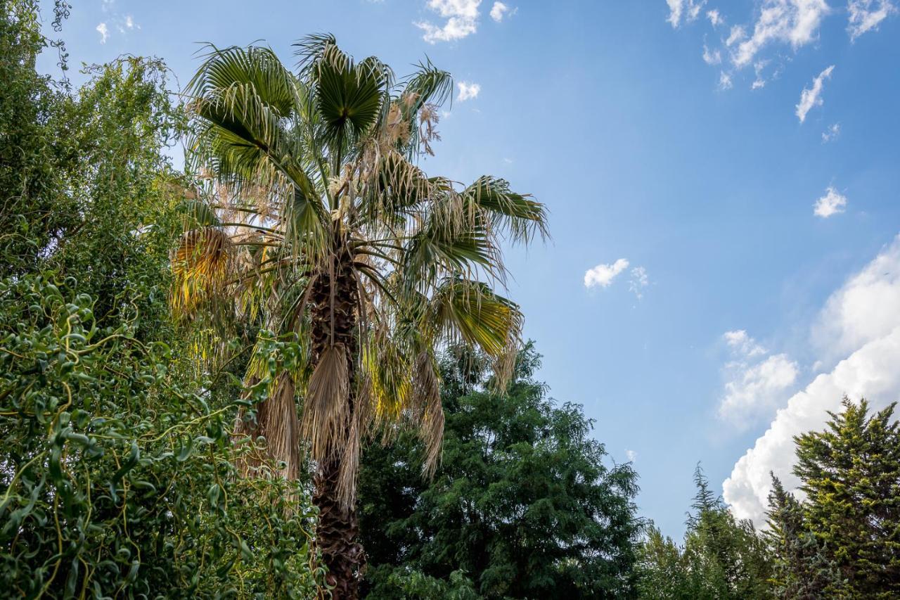 Alquiler Temp "Una Pausa" Barrio Privado En Vistalba Mendoza Exteriör bild